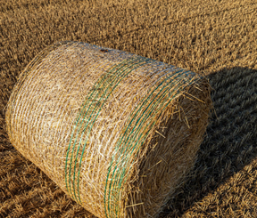 baler twine